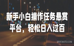 新手小白操作任务悬赏平台，轻松日入过百