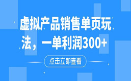 虚拟产品销售单页玩法，一单利润300+
