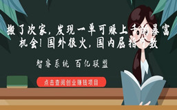 搬了次家,发现一单可赚上千的暴富机会!国外很火,国内屈指可数!