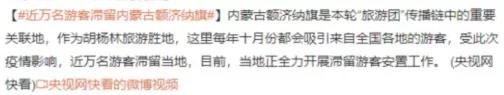 回拨2021年,我们发现了一整年的悲欢!