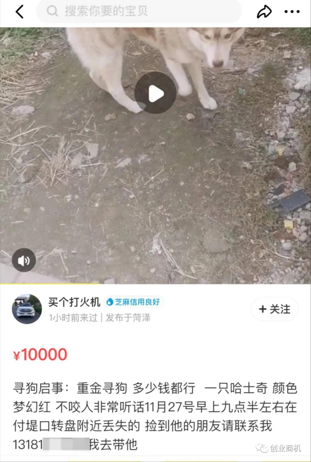 一天2单赚10000,两个月赚10万的偏门暴利项目!