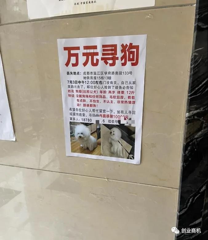 一天2单赚10000,两个月赚10万的偏门暴利项目!