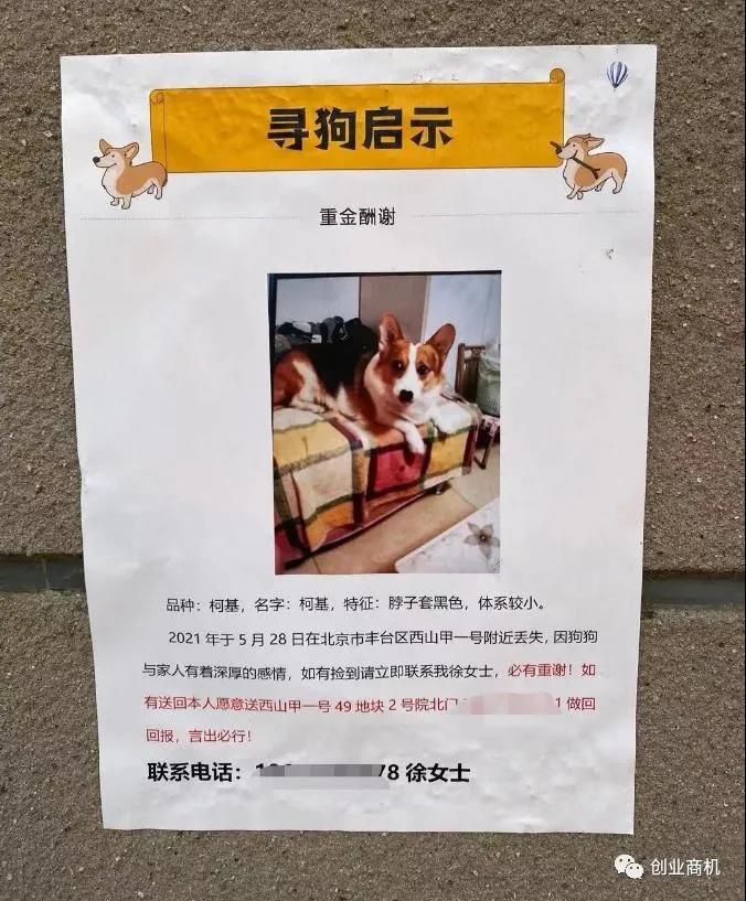 一天2单赚10000,两个月赚10万的偏门暴利项目!