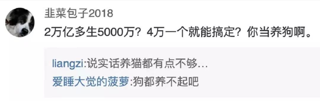 生一个娃,奖励4万?网友:这点钱够养猫都不够!