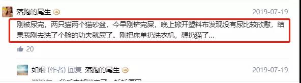 不起眼的赚钱项目:训猫教程,复制粘贴,也能轻松月入10000+