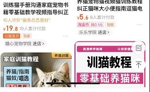 不起眼的赚钱项目:训猫教程,复制粘贴,也能轻松月入10000+