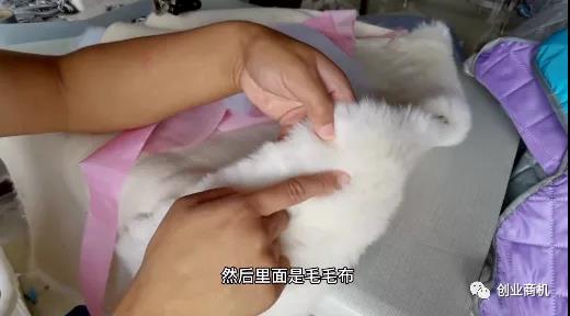 90后小伙开“挡风被”加工厂 一年狂赚20万