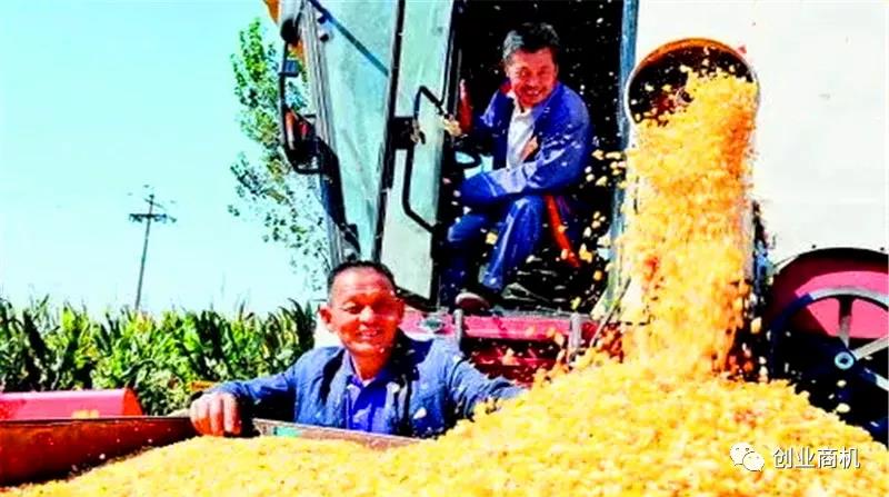 现在农村发大财的人,都是一些做什么的?