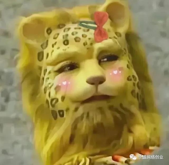 3.jpg 2022爆火的金钱豹是什么梗?有人借势赚钱