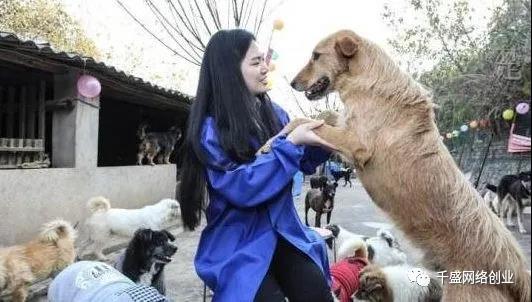2.jpg 揭秘:伪善人士的暴利项目----流浪狗打赏赚钱