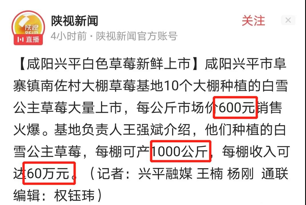 每斤高达100-150元,这个冷门生意销售火爆,一年收入上百万!