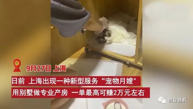 偏门生意,年挣50万。
