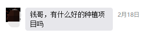 一亩地投5000元,能赚2万!说个农村种植新项目~