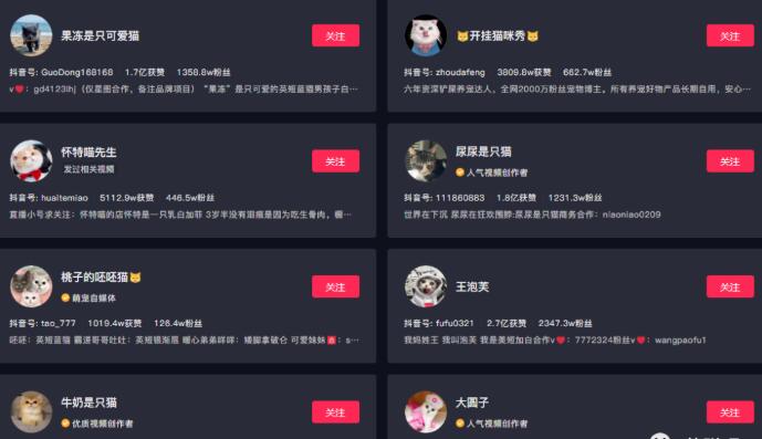 副业拍猫视频一公一母,日赚上万,人人可操作