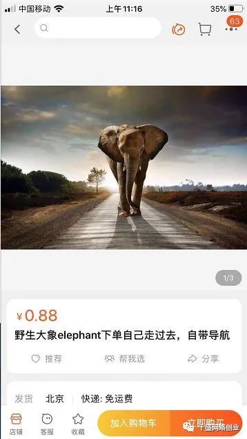 虚拟项目：网上卖大象，等它自己走回去