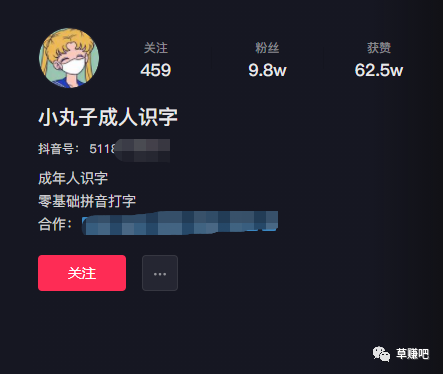 一个颠覆认知的项目,教成年人拼音识字,低门槛,不用露脸