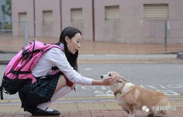 3.jpg 闷声发财:同城宠物号项目