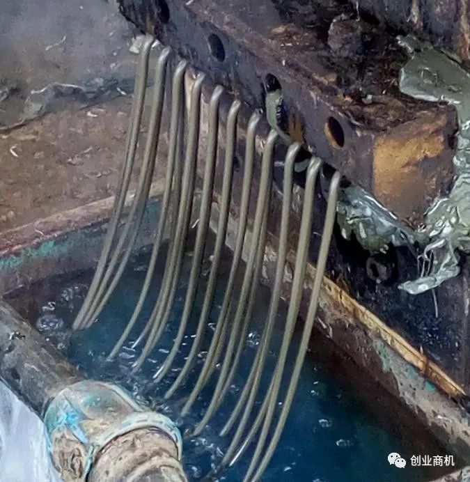 收购500元一吨,转手净赚2000元,农村冷门发财项目!