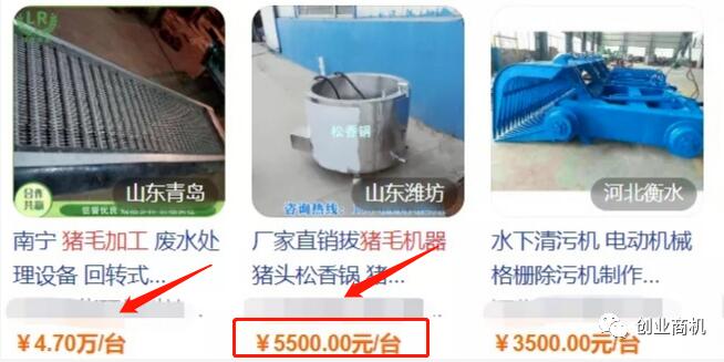 农村暴利养殖项目,才养三只,年收益60000