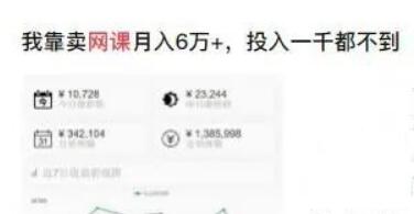 我靠做冷门项目,月赚60000+,投入一千不到!