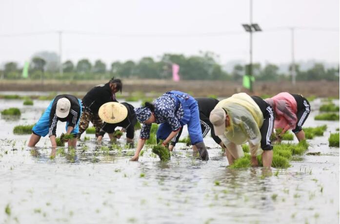 适合5.1的赚钱项目,0投入也能年入20万!