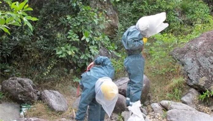 农村小伙做偏门生意,1天收入3000块,但是少有人做
