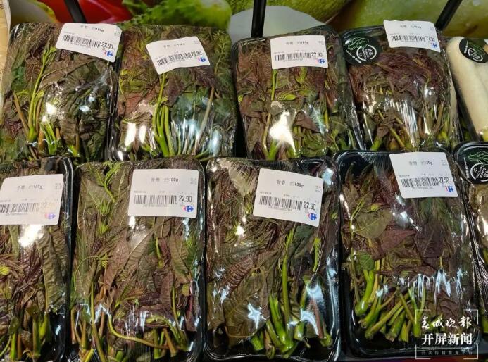 279元/公斤!3个月就能赚18万的“网红”春菜,为啥种植户很少种?