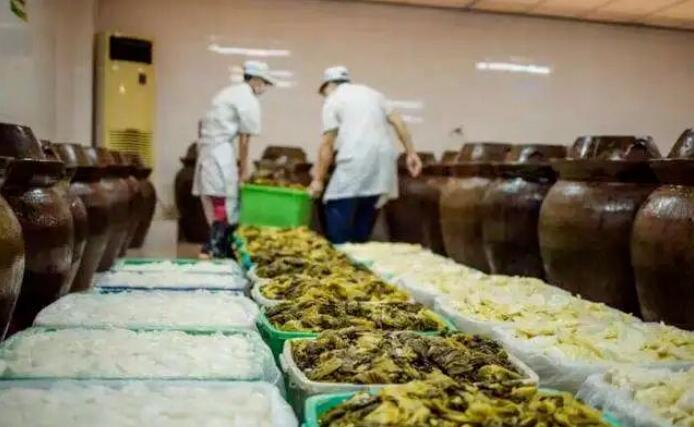 中年大叔投资3万块做冷门生意,销售火爆,一年挣1000000!