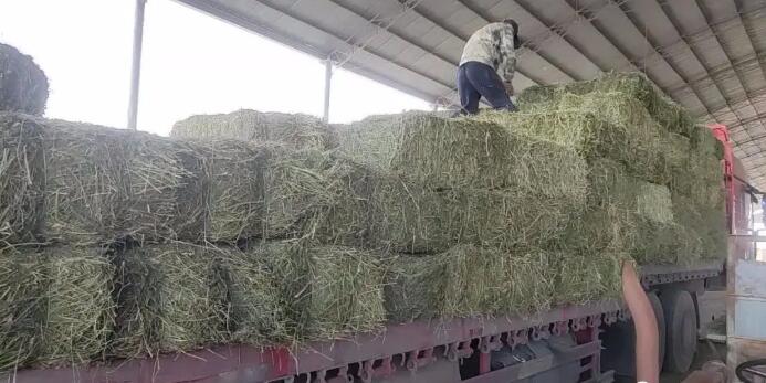 河南大叔干农村冷门生意,一吨最高能卖3000元,一年轻轻松松赚几十万