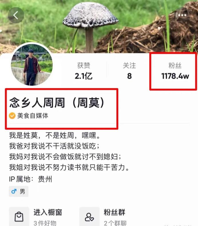 藏在农村的暴利生意,一年轻松搞二三十万,40、50岁都能干!