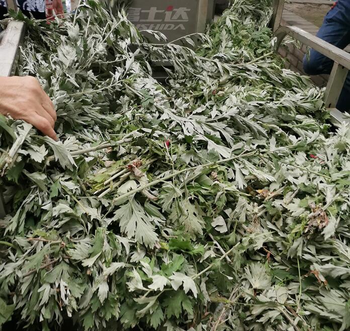 农村一个人也能干的冷门生意,两个小时净赚400元