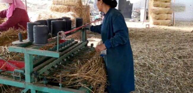 变废为宝?夫妻收购加工冷门生意,1个月挣20000多元,农民也赚钱!
