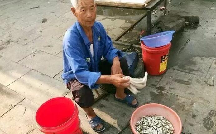 在农村,这6个小生意都比较有“钱途”!