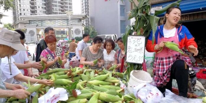 2000元起步投资,不起眼的小生意年入40万,两年买一套房!