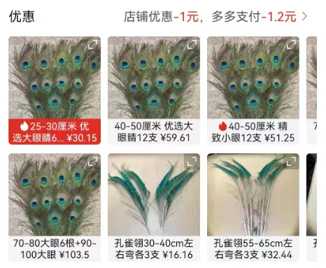 100元养一只,养一年赚30万?一个冷门的养殖项目!