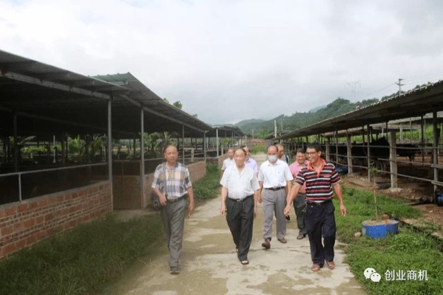 农村创业好项目,一亩地养40只,一只利润3000左右