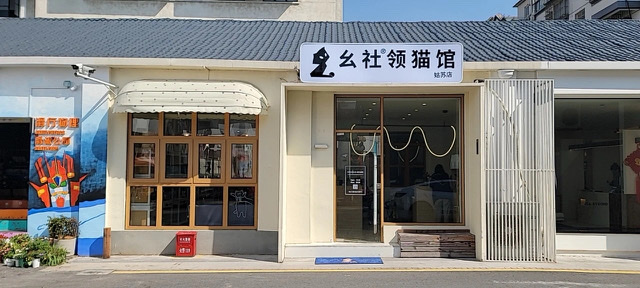 90后如何凭“0元领猫”创立宠物连锁品牌,自研产品卖出2000万?