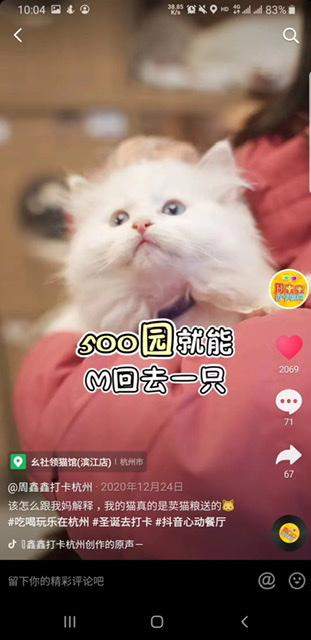 90后如何凭“0元领猫”创立宠物连锁品牌,自研产品卖出2000万?