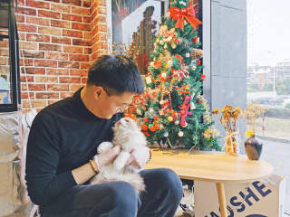 90后如何凭“0元领猫”创立宠物连锁品牌,自研产品卖出2000万?