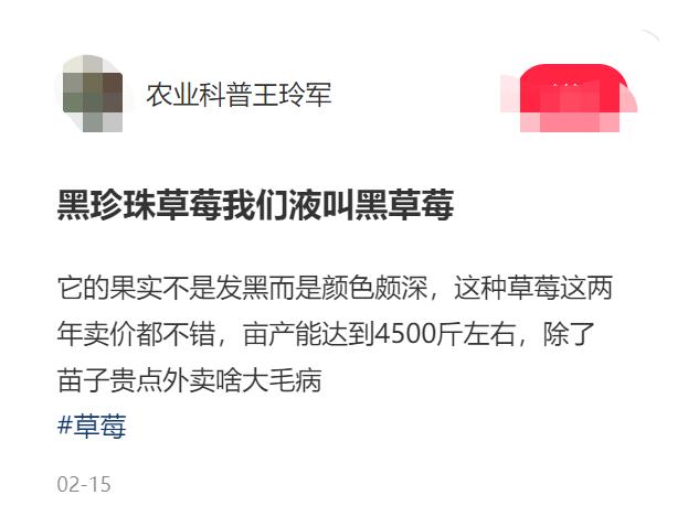 1颗售价40元,1亩地8个月能赚35万!新的农业项目受关注~