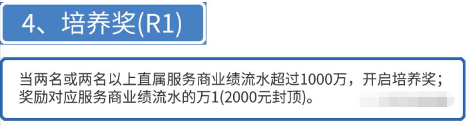 瑞升达2024猛揍版plus代理政策全面的解读