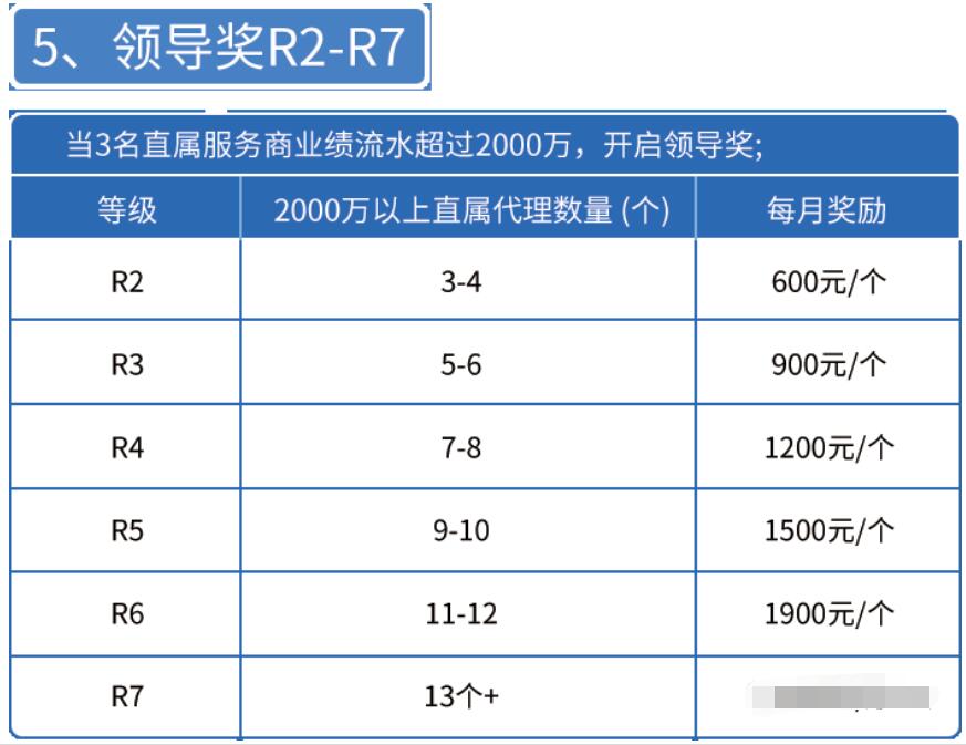瑞升达2024猛揍版plus代理政策全面的解读