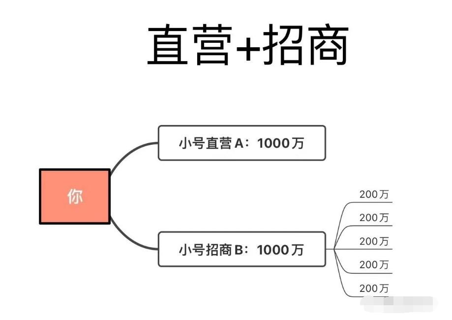 瑞升达2024猛揍版plus代理政策全面的解读