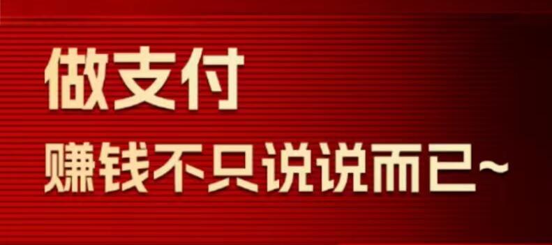 瑞升达2024猛揍版plus代理政策全面的解读
