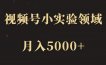 【致富部落】视频号小实验领域，月入5000+