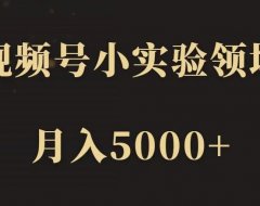 【致富部落】视频号小实验领域,月入5000+