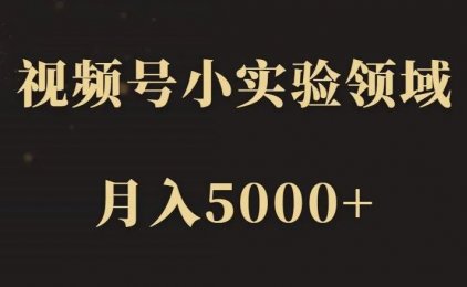 【致富部落】视频号小实验领域,月入5000+