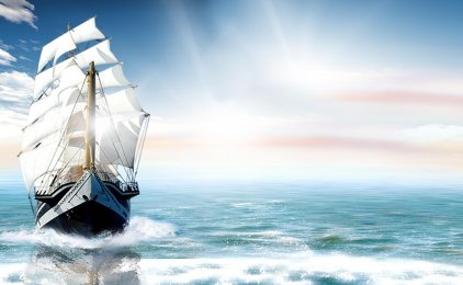 2022最新黑马先机，尚品荟项目解析，抢占第一波财富商机