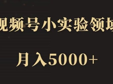 【致富部落】视频号小实验领域,月入5000+