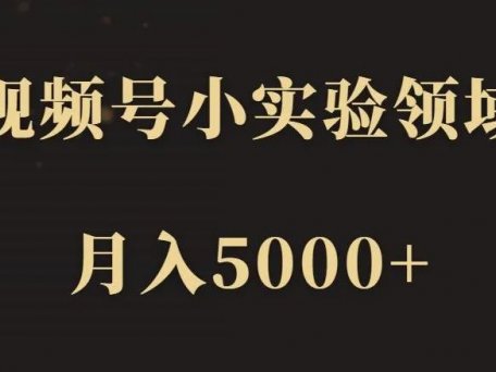 【致富部落】视频号小实验领域，月入5000+